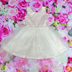 girl princess dress